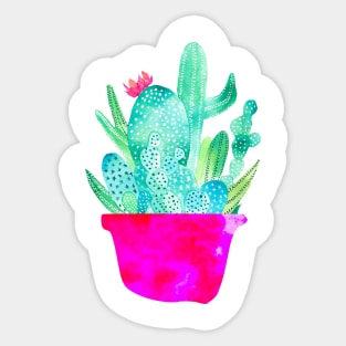 Pot Me A Cacti Sticker